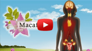 video how macafem works